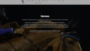 Referenz für Webseitenerstellung und individuelles Webdesign für Helena Stormanns Sportpferde von Daun EDV