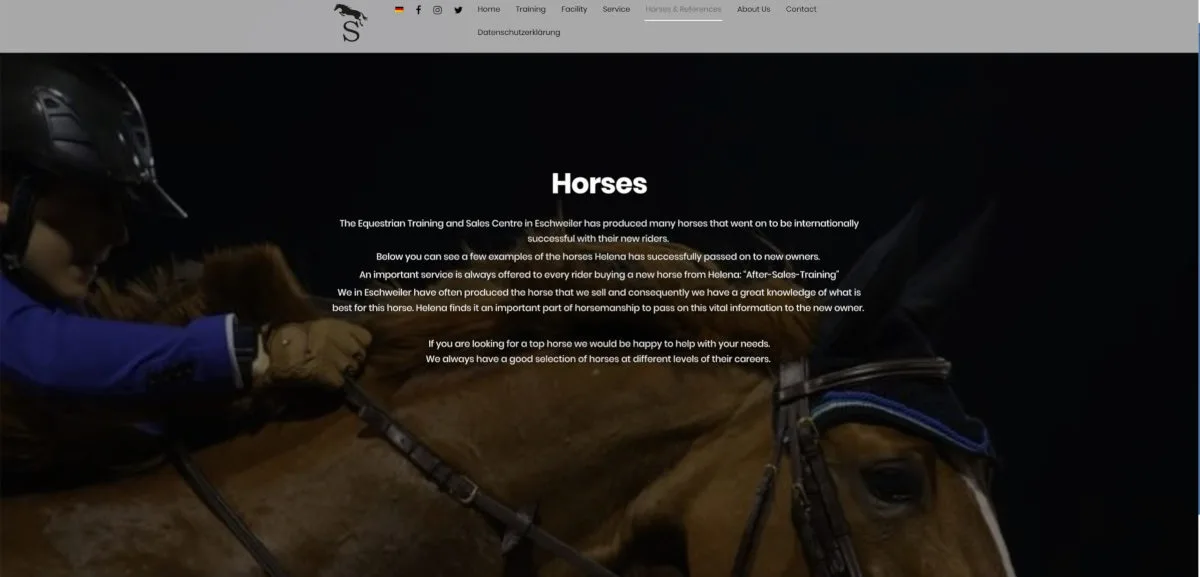 Referenz für Webseitenerstellung und individuelles Webdesign für Helena Stormanns Sportpferde von Daun EDV